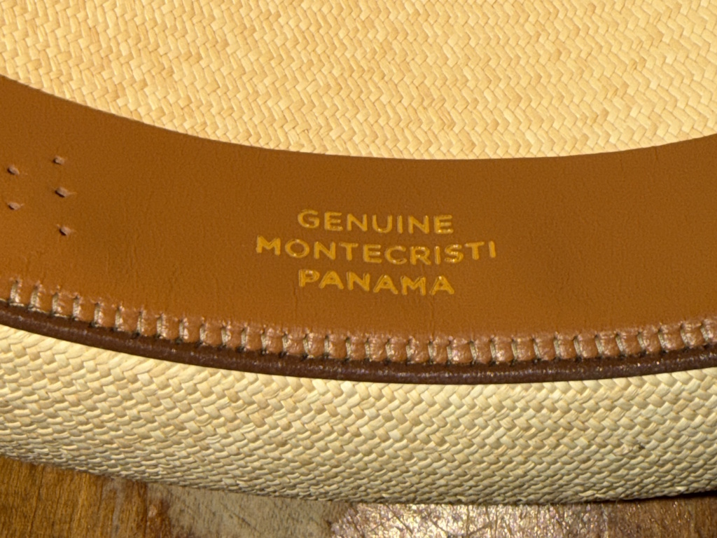 Newt Montecristi fedora 08-11-2026 (7).JPG