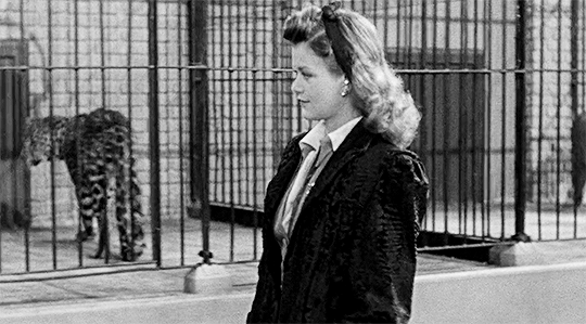 o283dl21g4zf1.gif