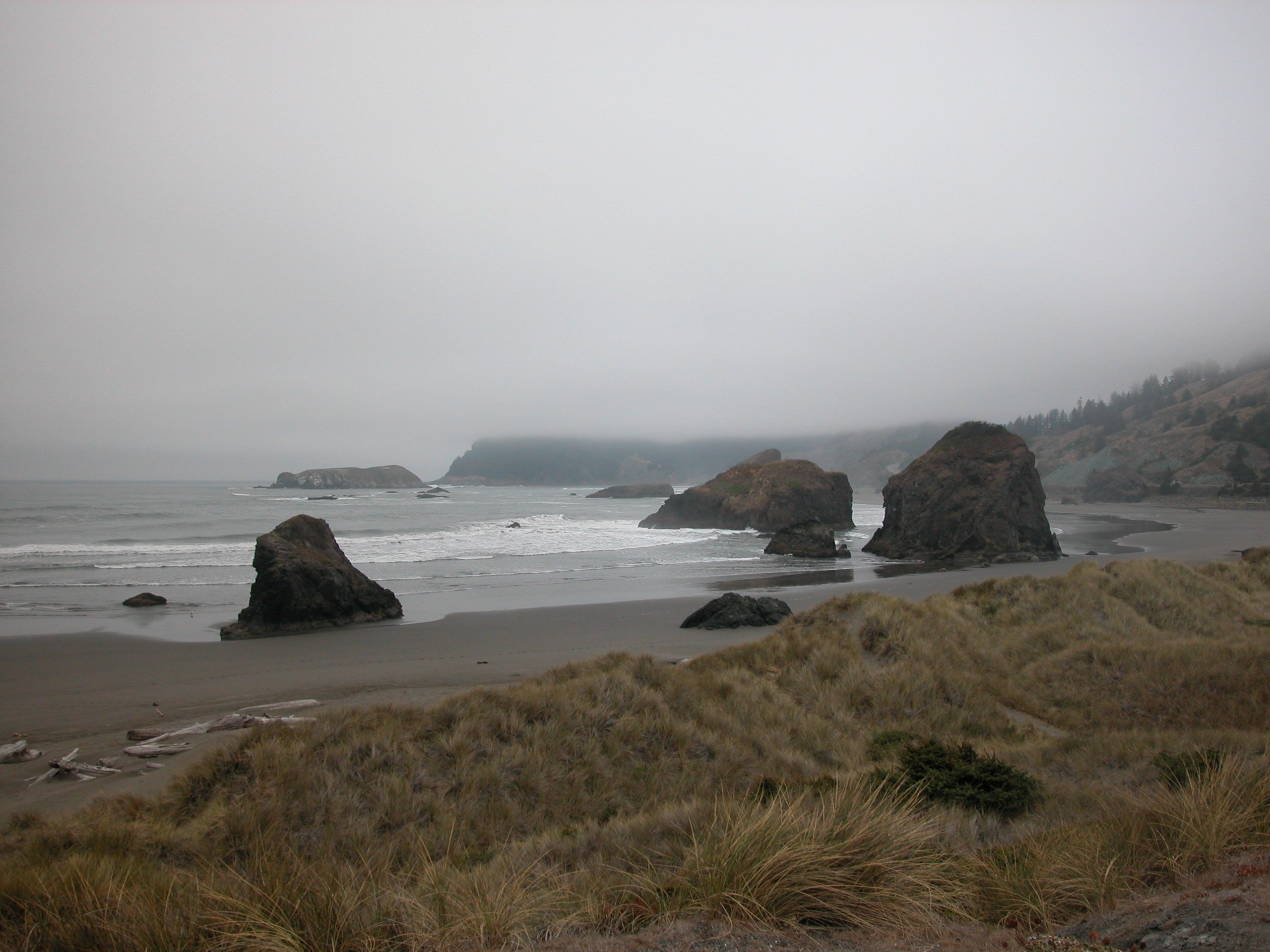 Oregon Coast near Brookings.JPG