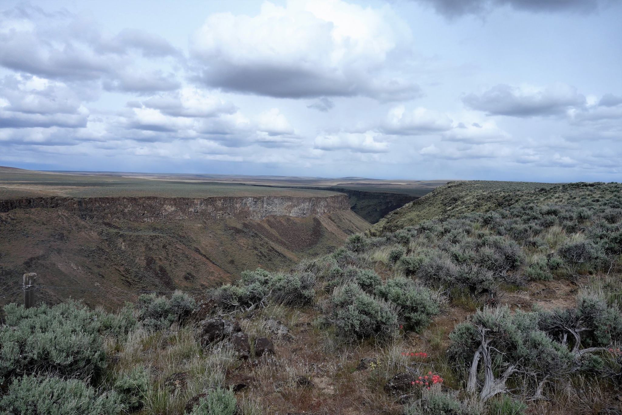 owyhee3.jpg