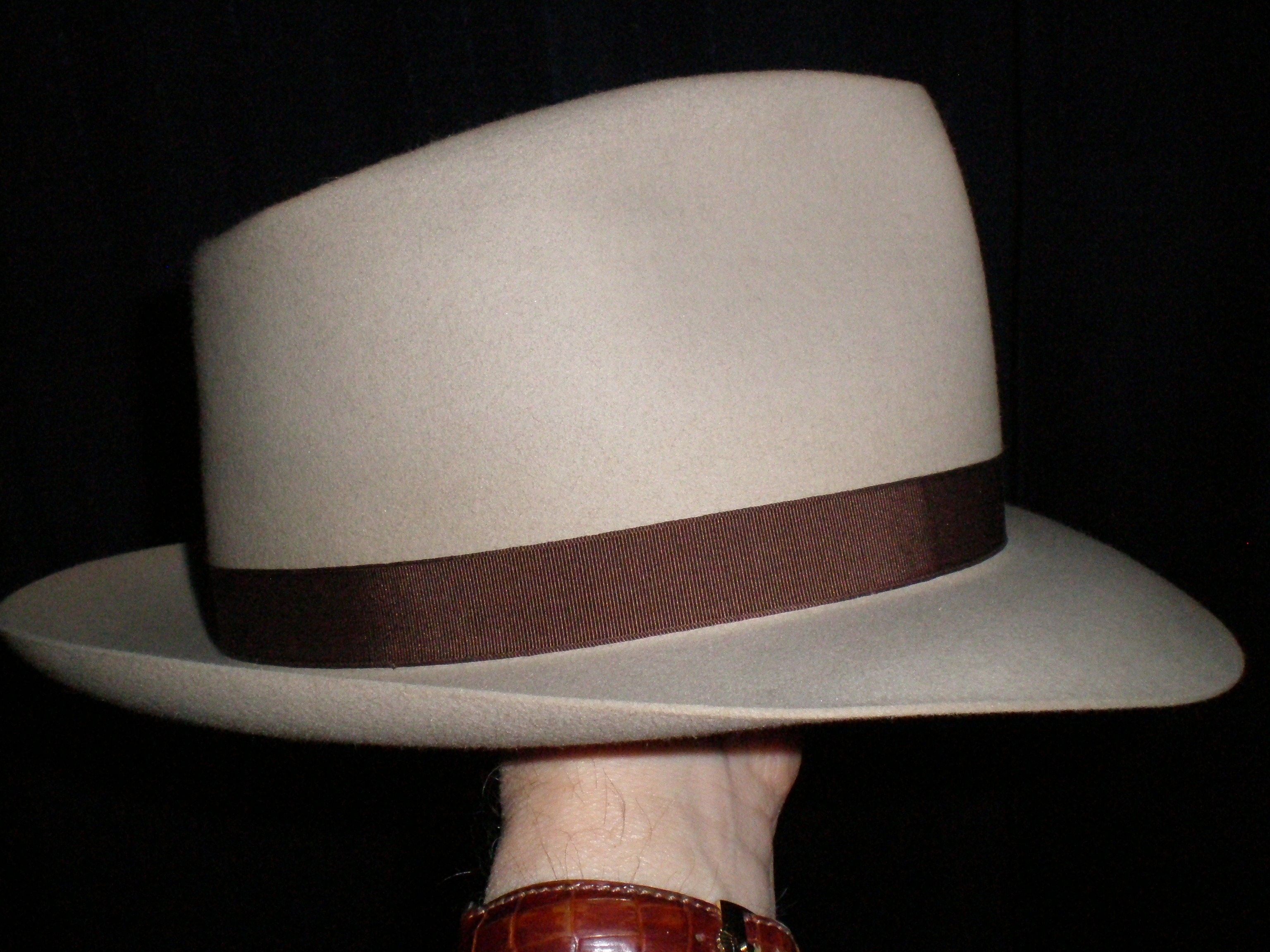 P1010048 (1).JPG