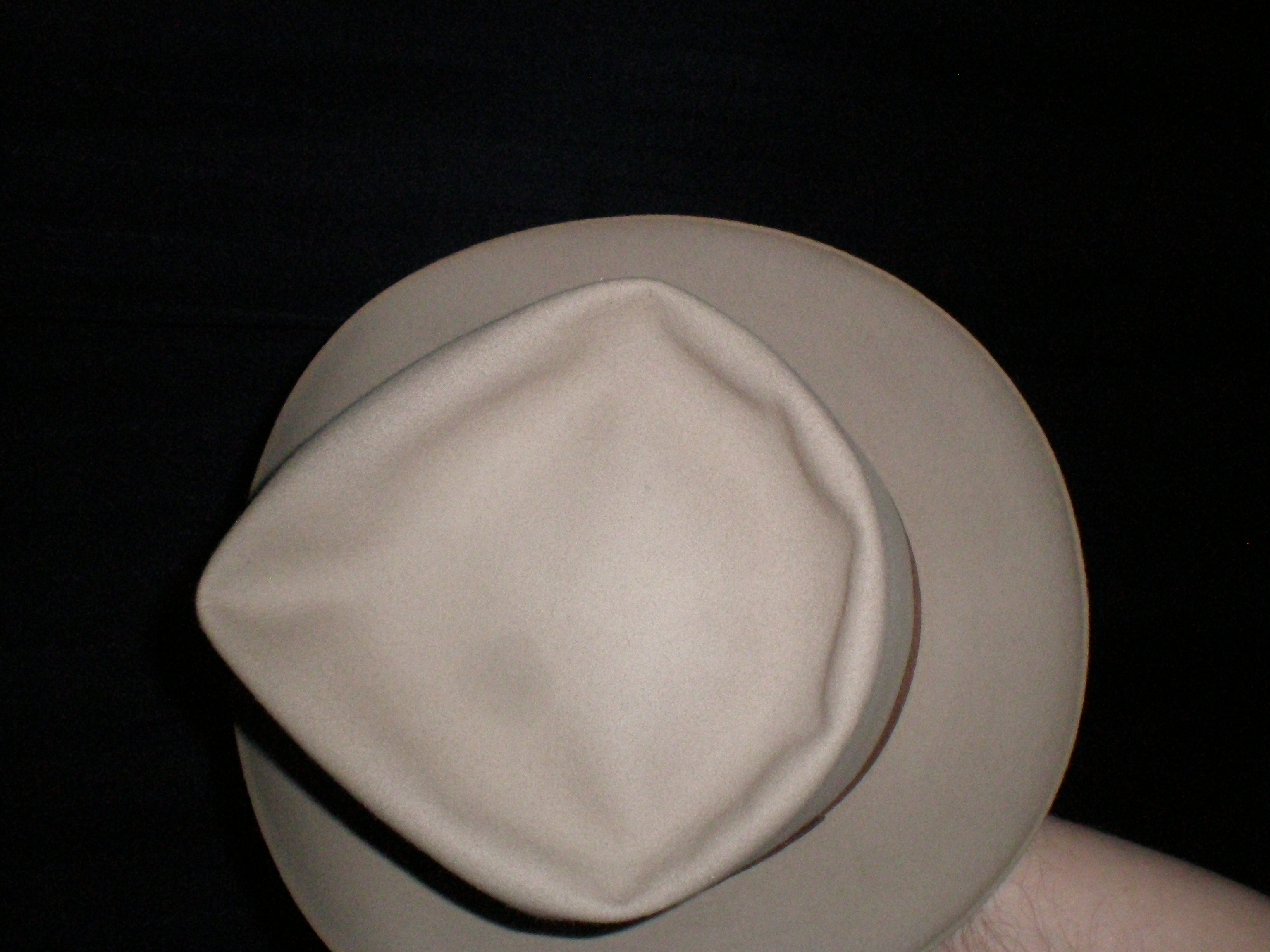 P1010051 (1).JPG