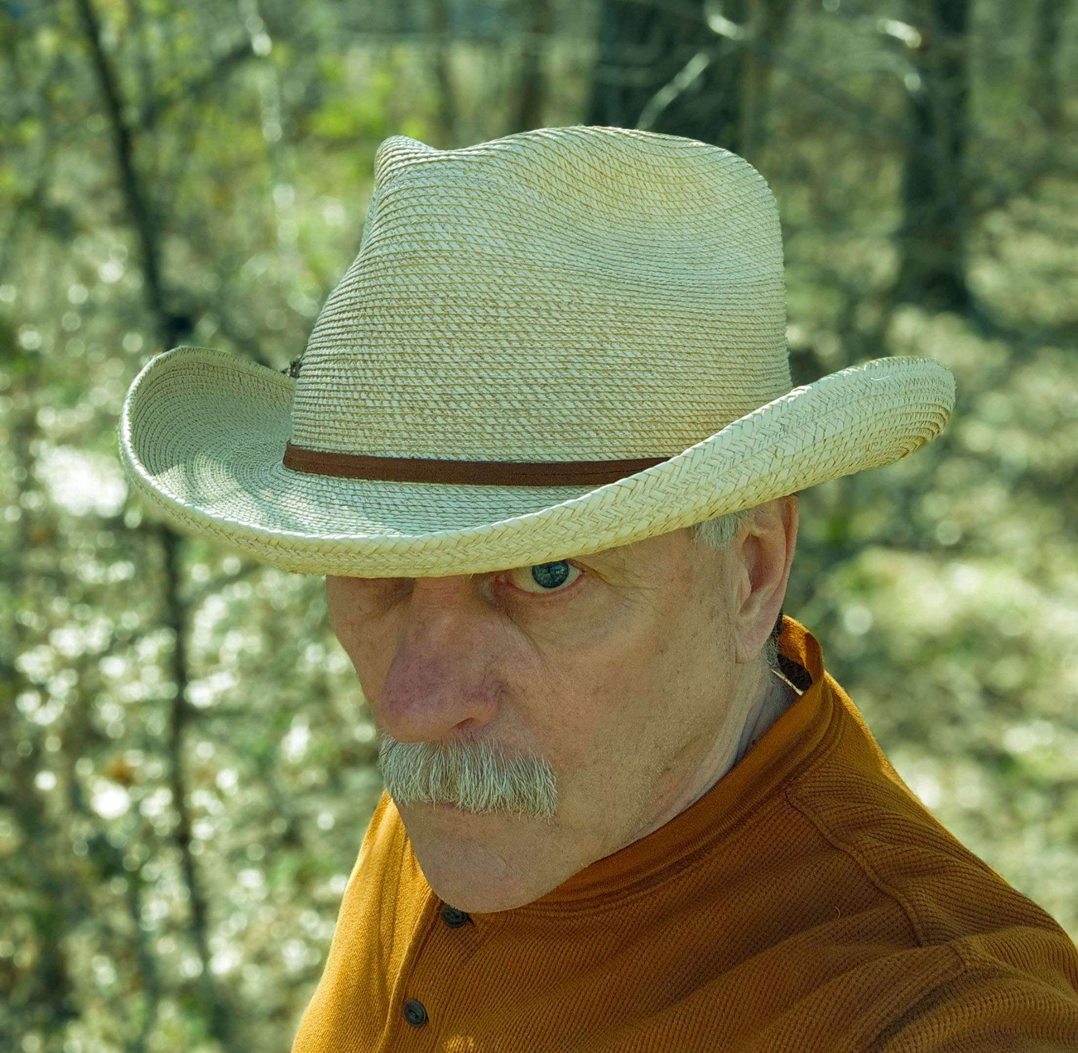 Palm straw hat.jpg