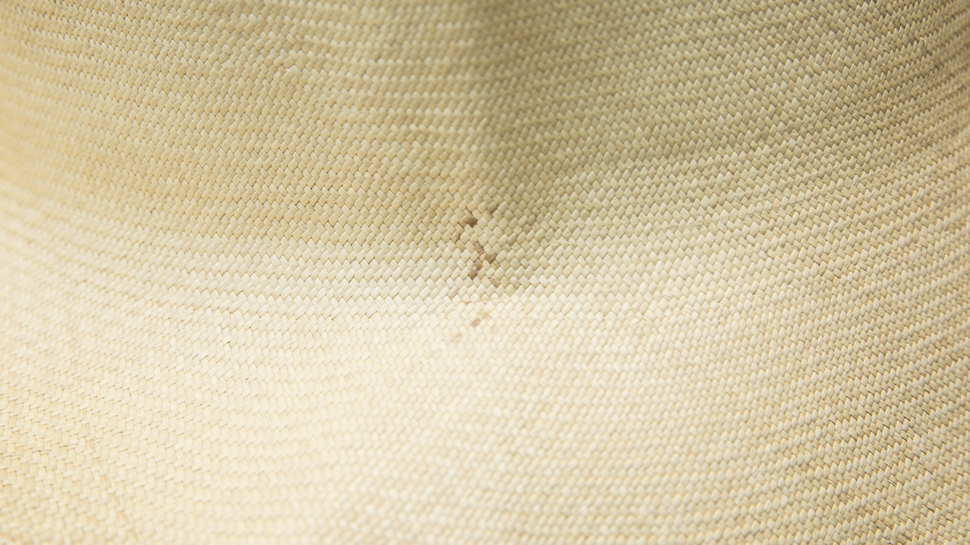 panama horita_1.jpg