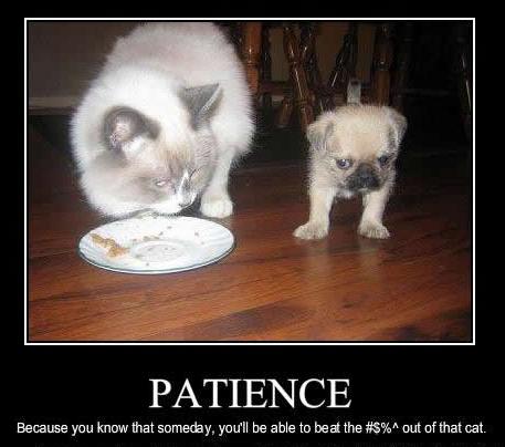 patience.jpg