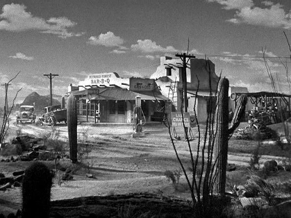 petrifiedforest1 copy.jpg