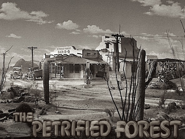 petrifiedforest1.jpg