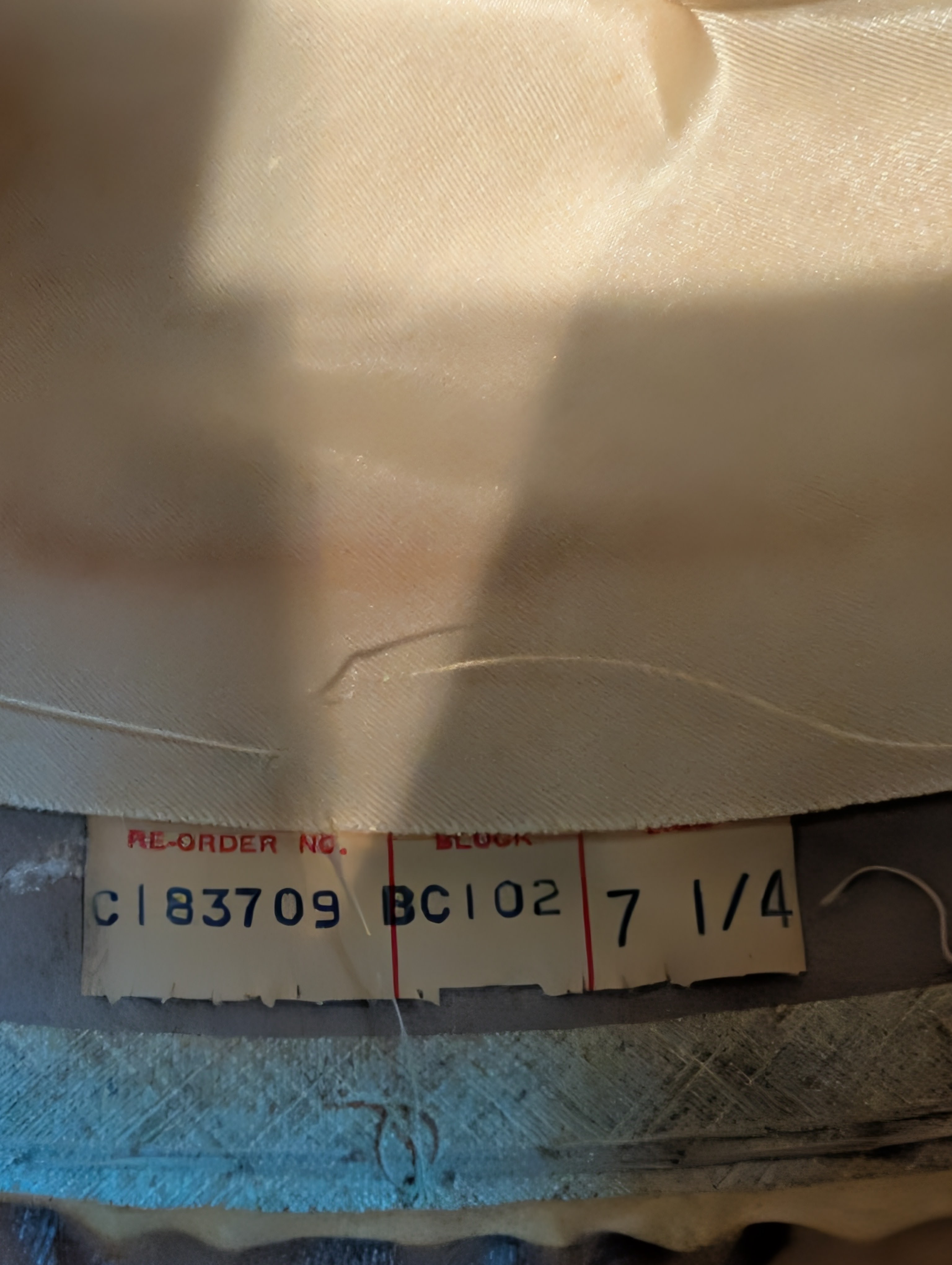 PXL_20261014_190709774.jpg