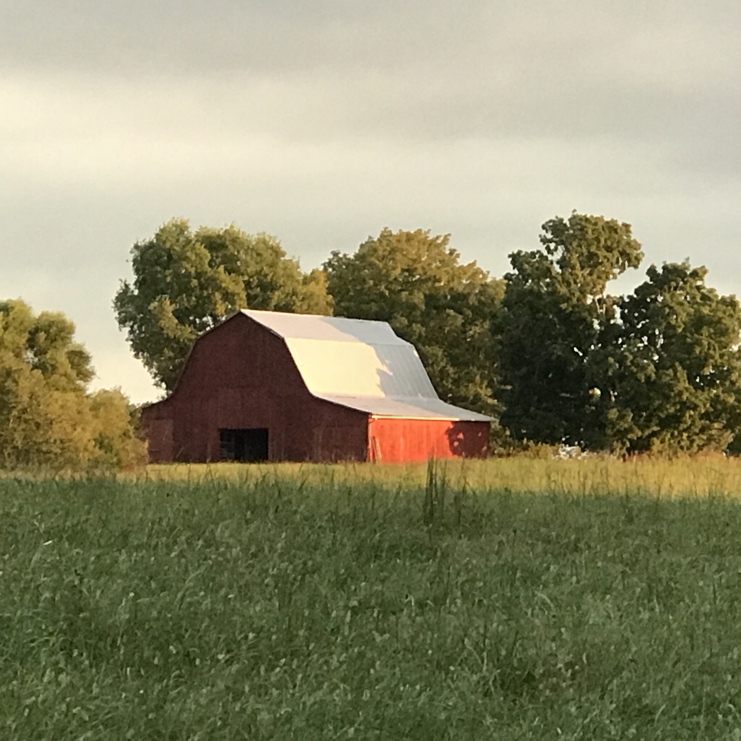 Red Barn.jpg