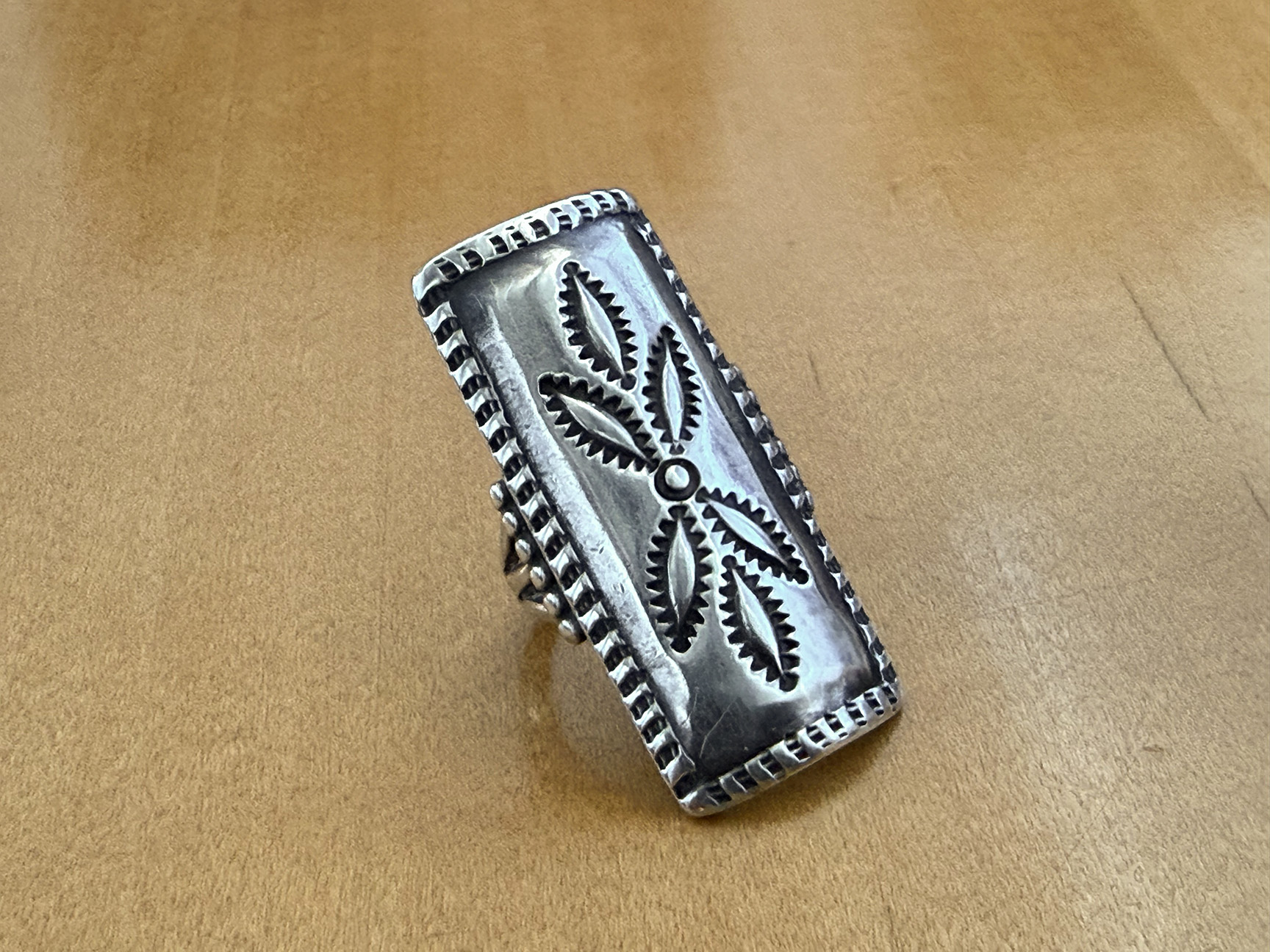 roanhorse_long_ring1.jpg