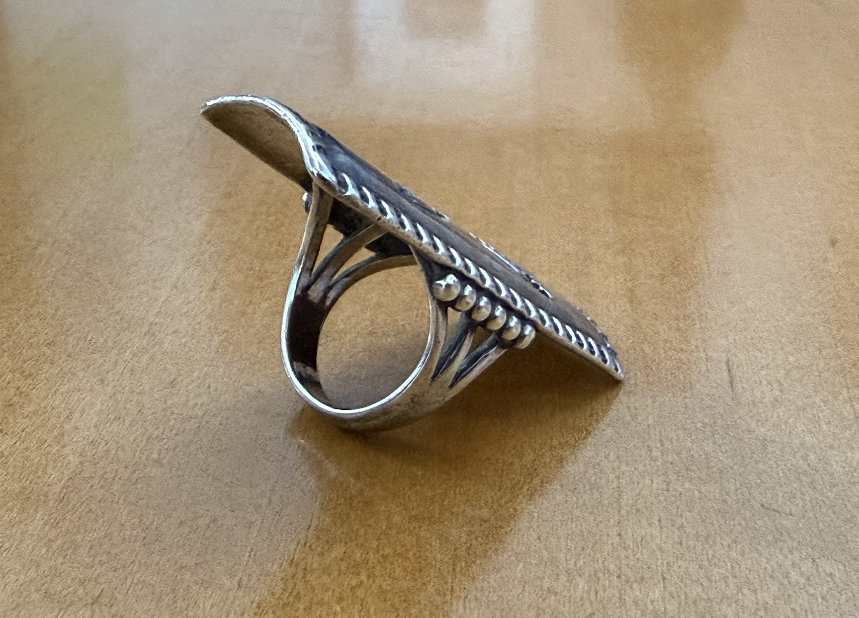 roanhorse_long_ring2.jpg