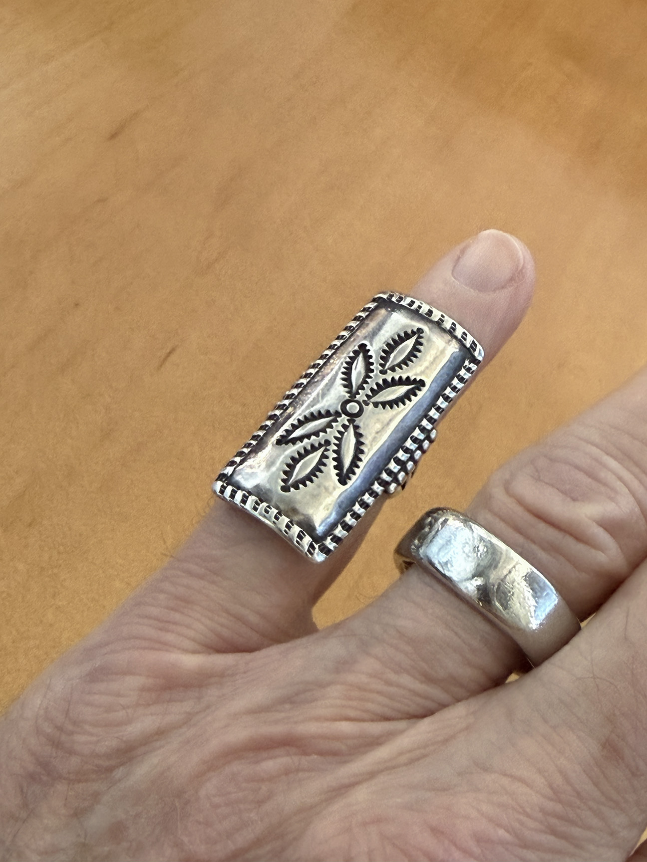 roanhorse_long_ring4.jpg