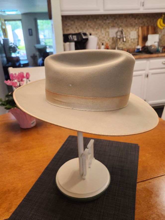 Royal Stetson side view.jpg