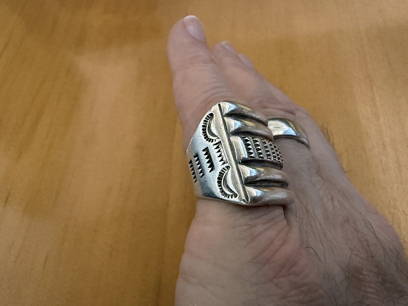 sam_roanhorse_ring1.jpg