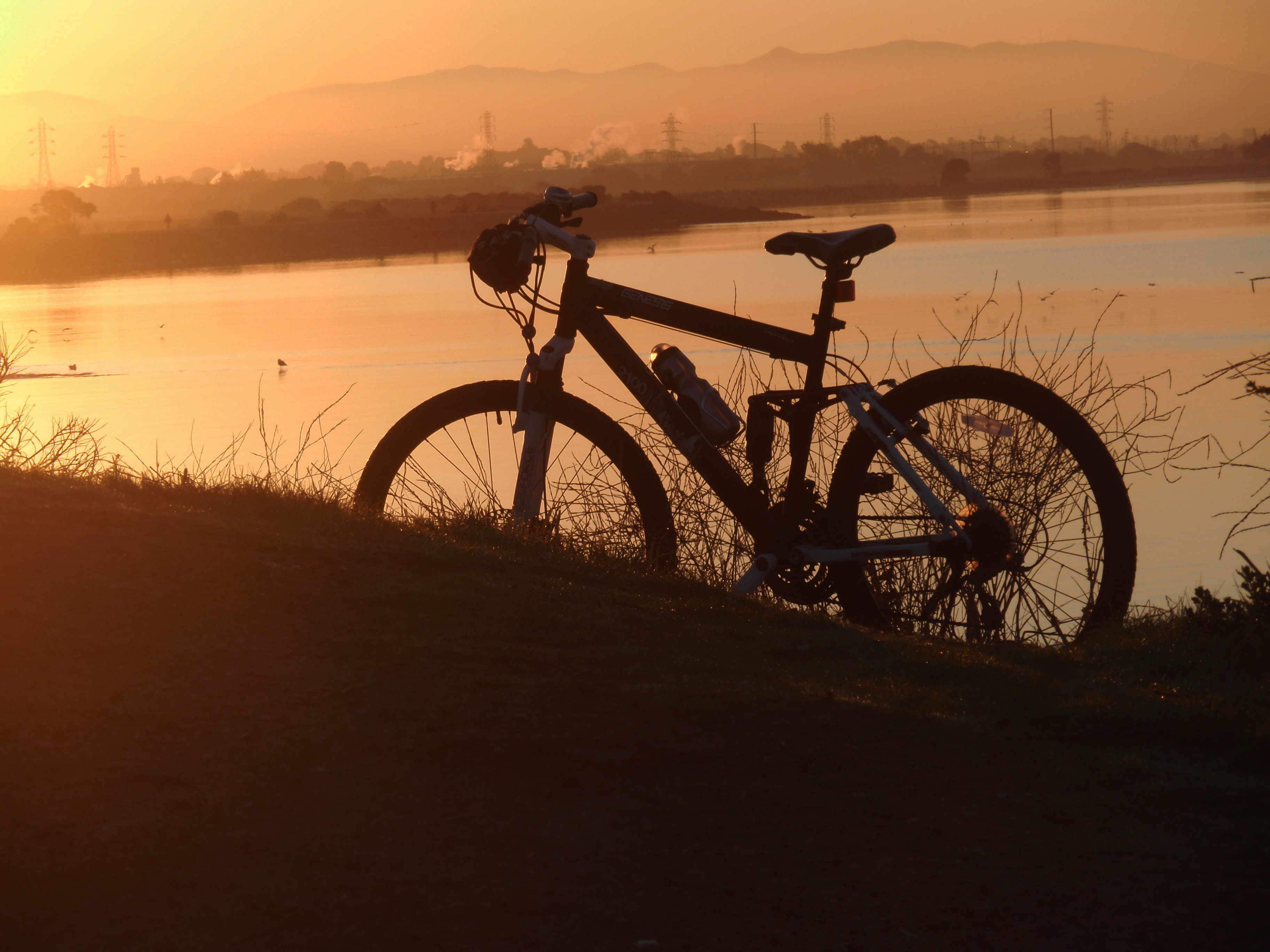 Shadow Bike.jpg