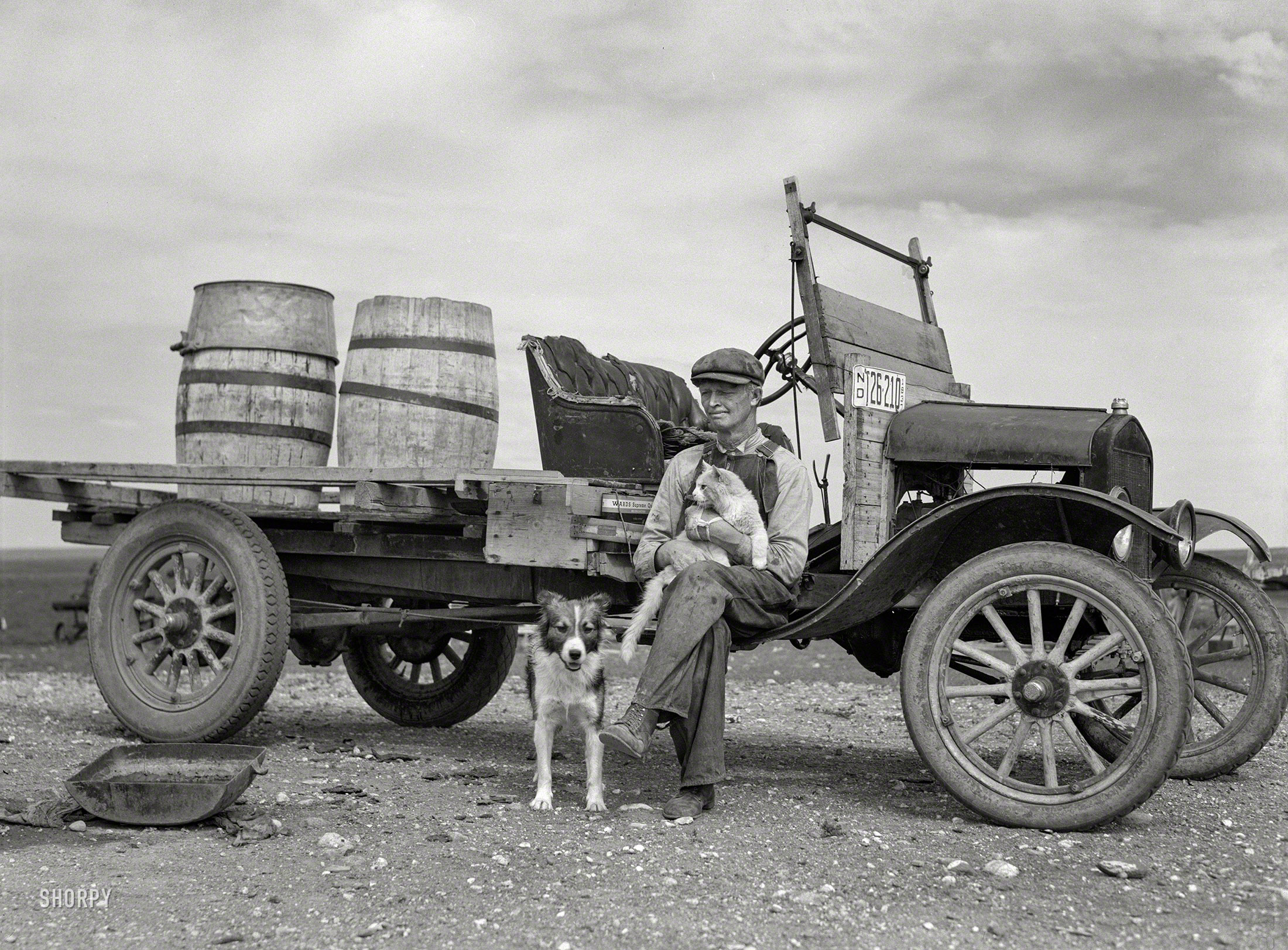 SHORPY-8b19877a.jpg