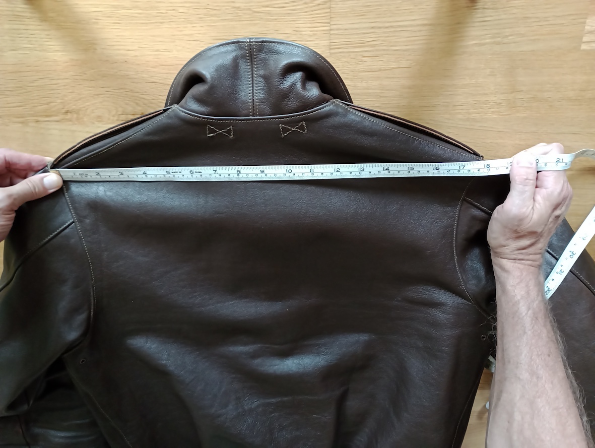 Shoulders.jpg
