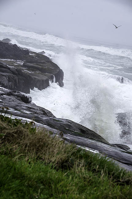 Smelt Sands 11Nov16.jpg