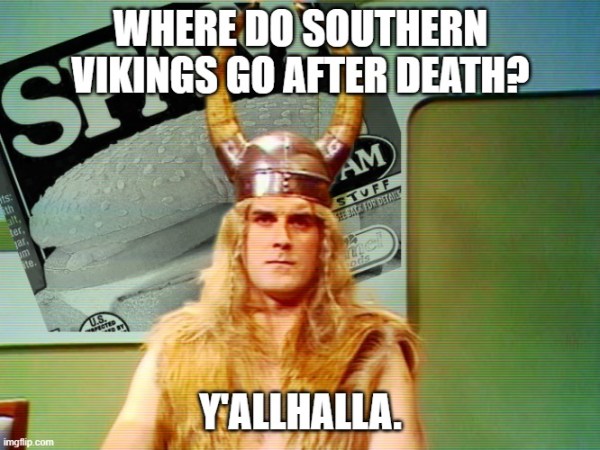 sourthern-vikings.jpg