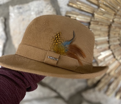 stetson-camel1.jpg