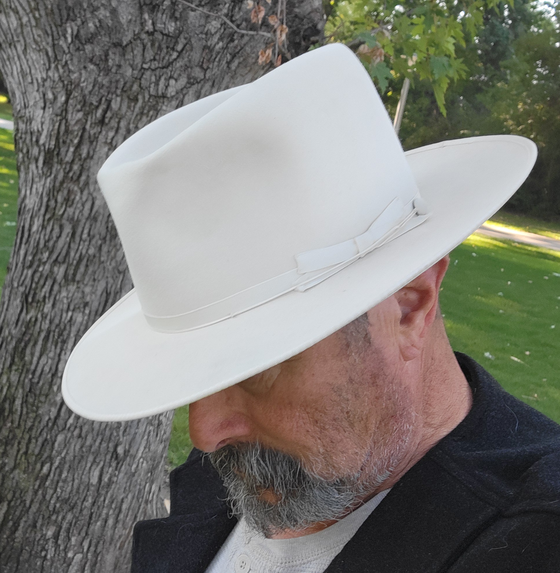 Stetson OR 3X white daily d.jpg