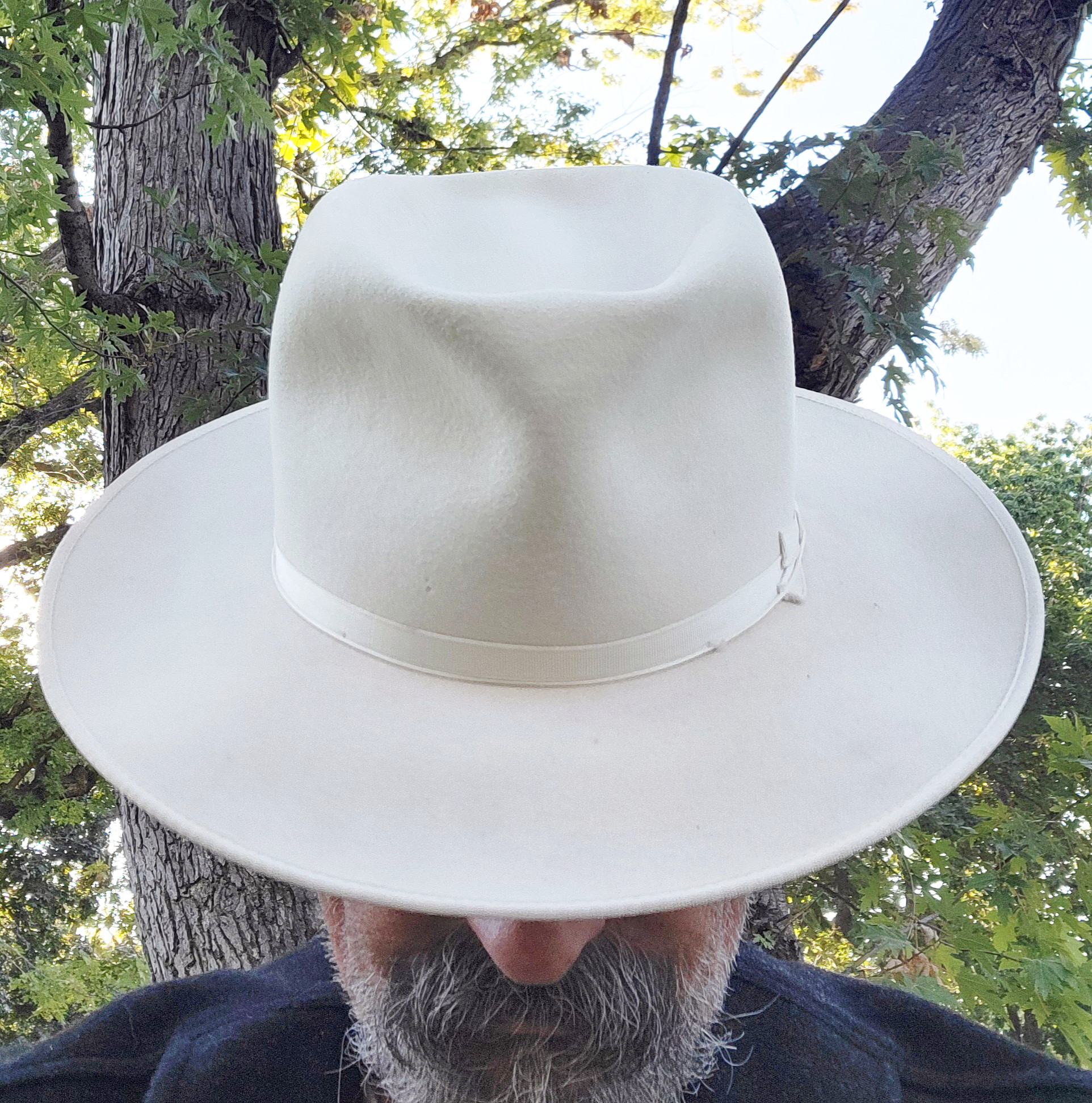 Stetson OR 3X white daily e.jpg