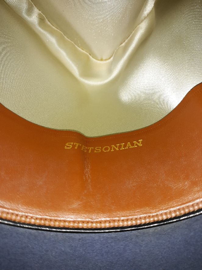 stetson stetsonian 8.jpg