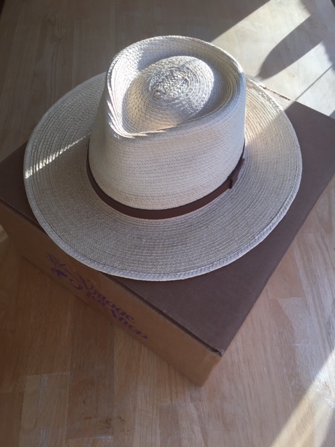 Sunbody Crown.JPG