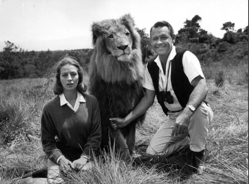 the lion movie.jpeg