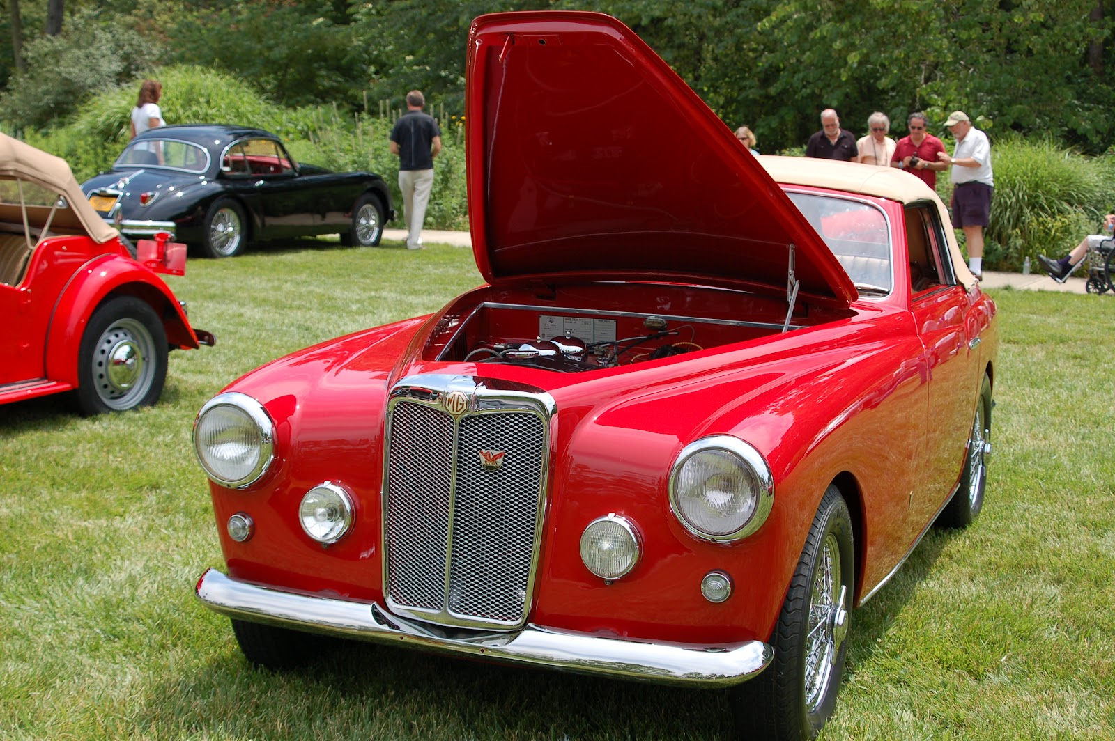 the MG Arnolt.JPG