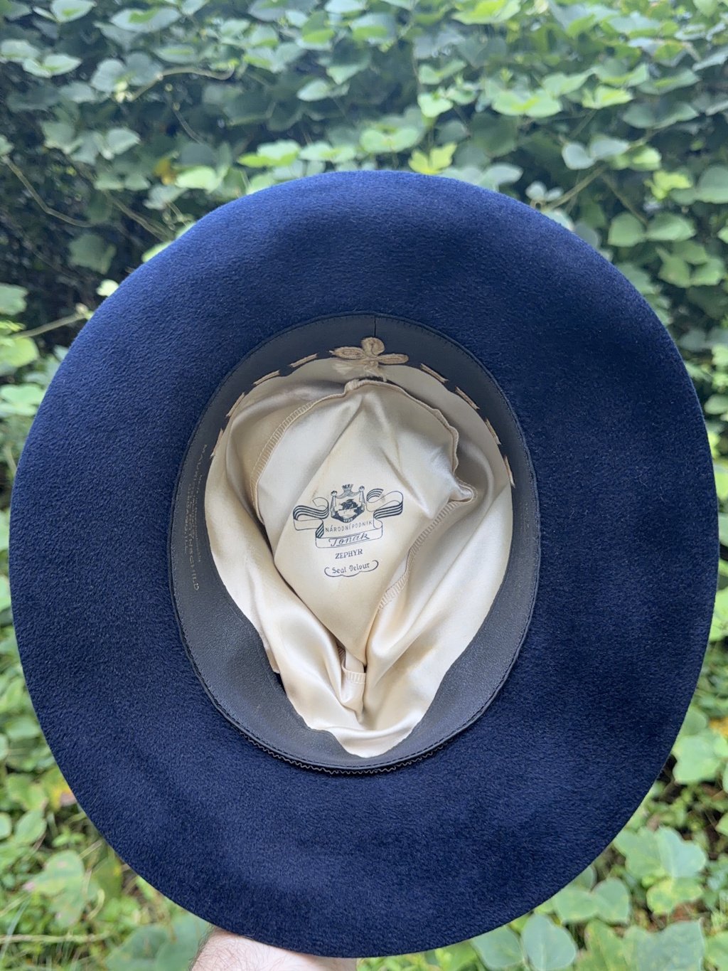 Tonak Velour (2).JPG