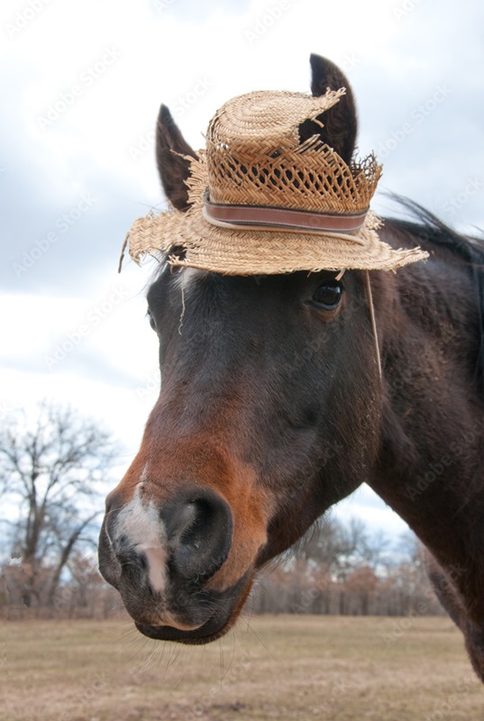 Ventilated_Straw_Hat.jpg