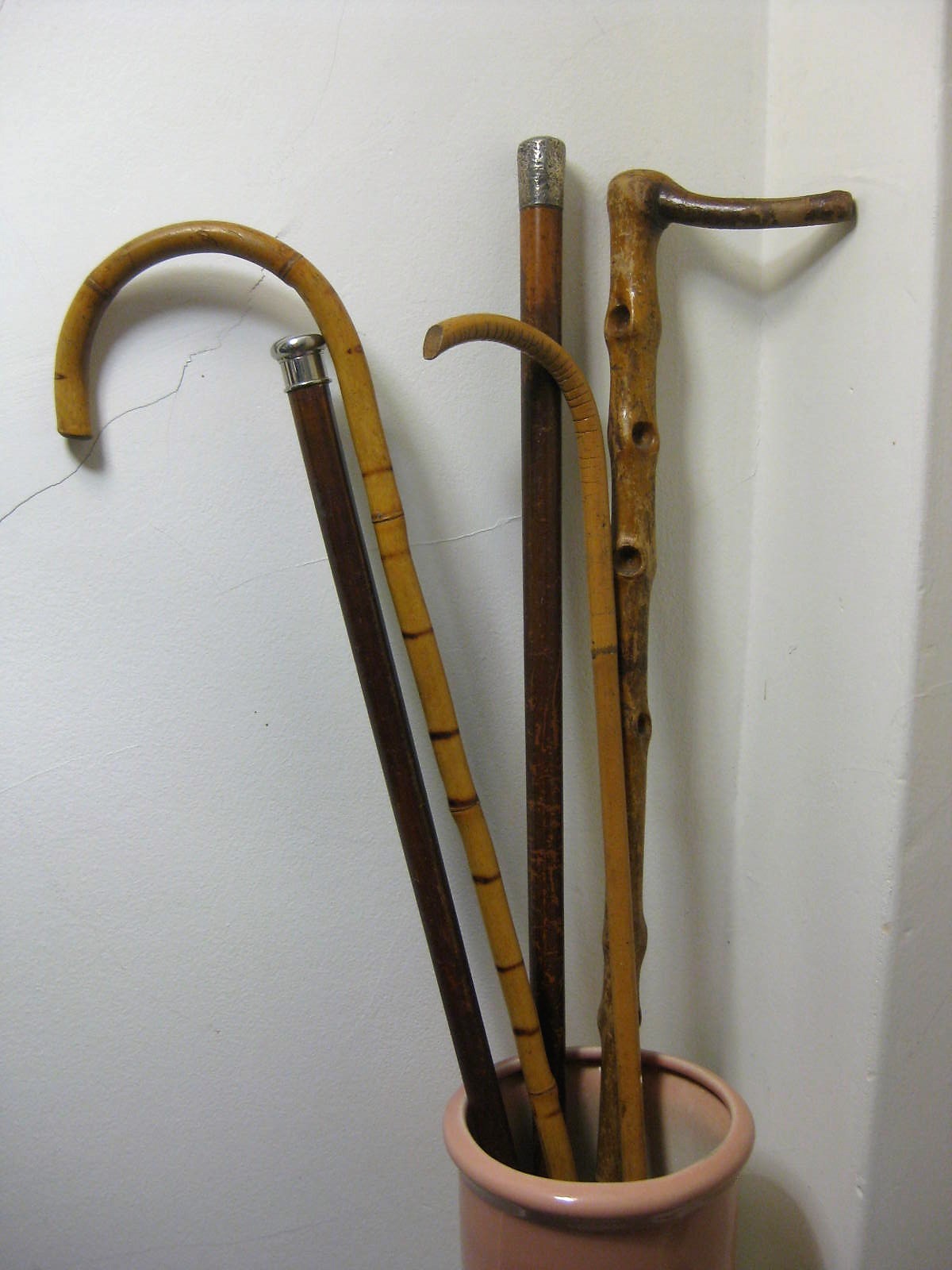 Walking sticks.JPG