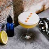 whisky sour.jpg