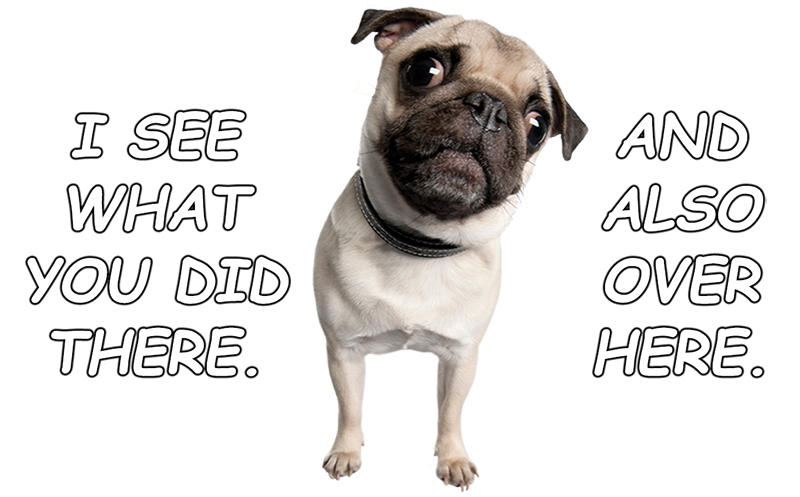 Wide_Eyed_Pug.png