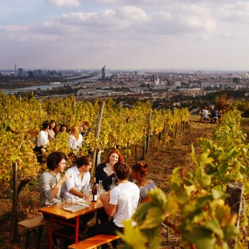 Wien Wine Wandertag.jpg