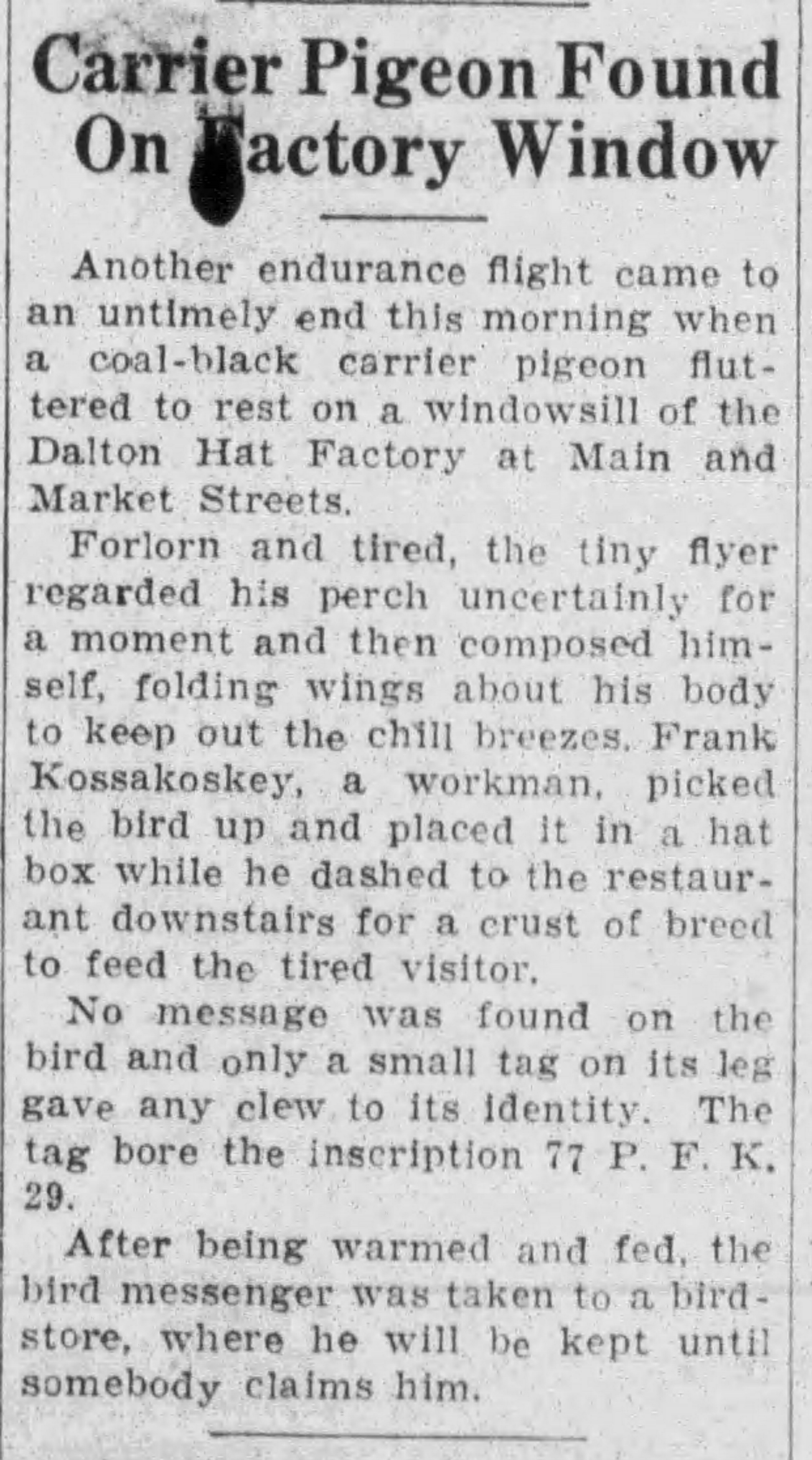 Yonkers_Statesman_Sat__Nov_9__1929_.jpg