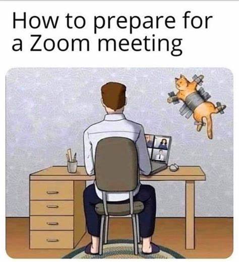 ZoomCat.jpg