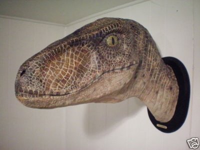 raptor+head.jpg