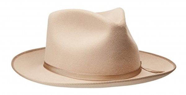 Stetson Stratoliner in Silverbelly 2.JPG