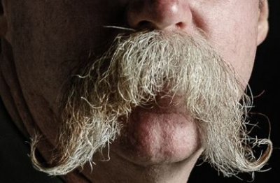 retirementstache.JPG