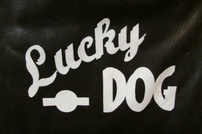 LuckyDogProgress#13.JPG