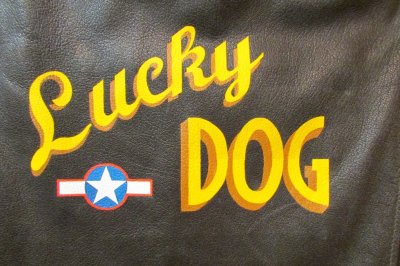 LuckyDogColour#15.JPG