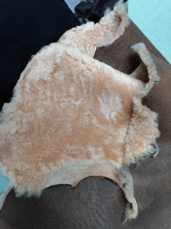 sheepskin5.jpg