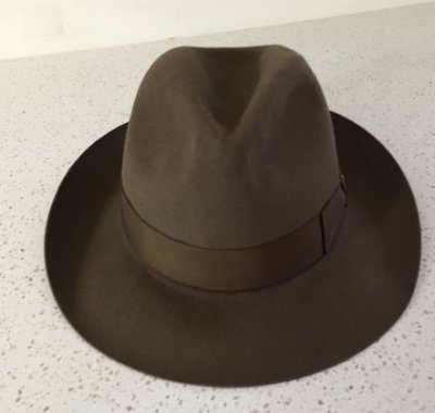 fedora front.JPG