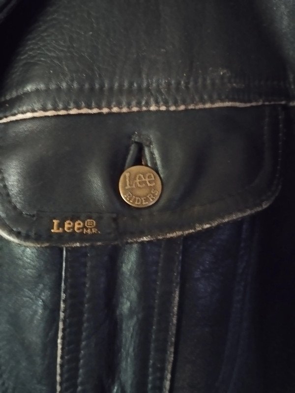 lee 2.jpeg