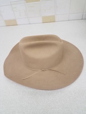 Stetson Hat 1.jpg