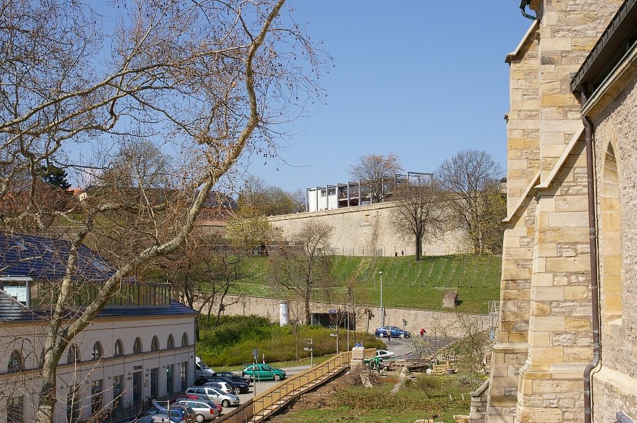 IMGP6786.JPG