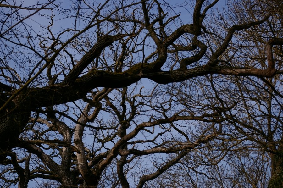 IMGP8191.JPG