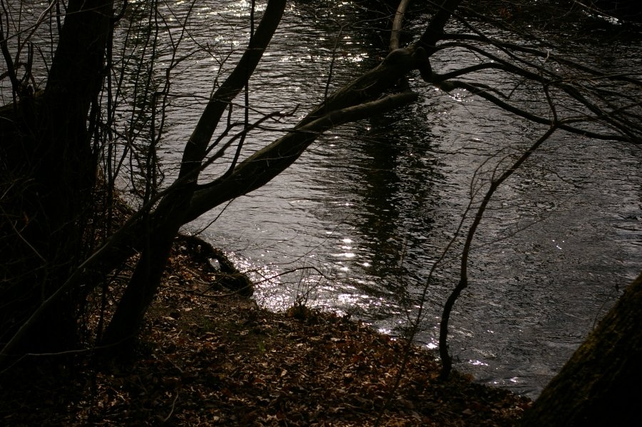 IMGP8202.JPG